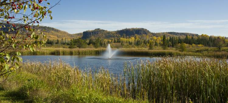 诺维思特贝斯特韦斯特优质酒店及会议中心(Best Western Plus NorWester Hotel  Conference Centre)图片