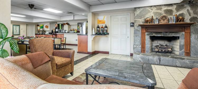 品质酒店南博林格林(Quality Inn)图片