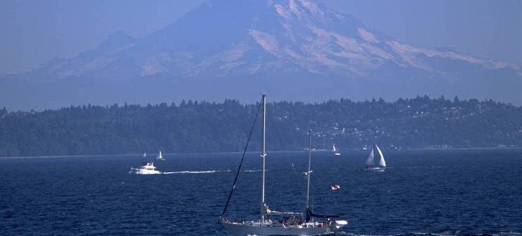 西雅图贝尔维尤/市中心居家酒店(Residence Inn Seattle Bellevue Downtown)图片