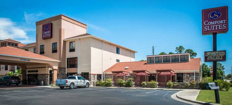 巴拿马城舒适套房酒店-近廷德尔空军基地(Comfort Suites Panama City Near Tyndall AFB)图片