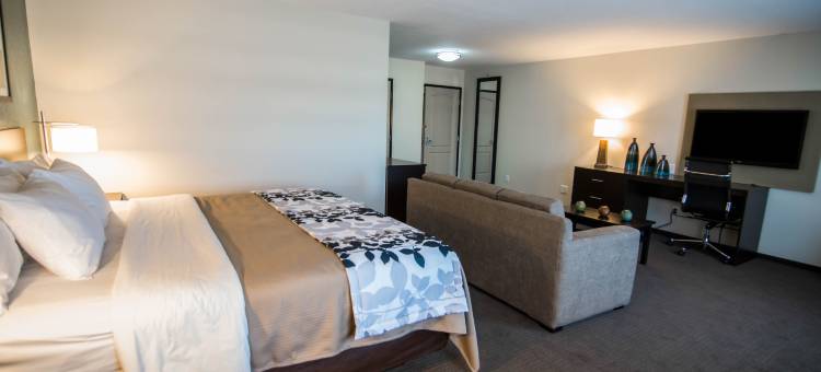 安眠套房酒店及会议中心(Sleep Inn & Suites Garden City)图片