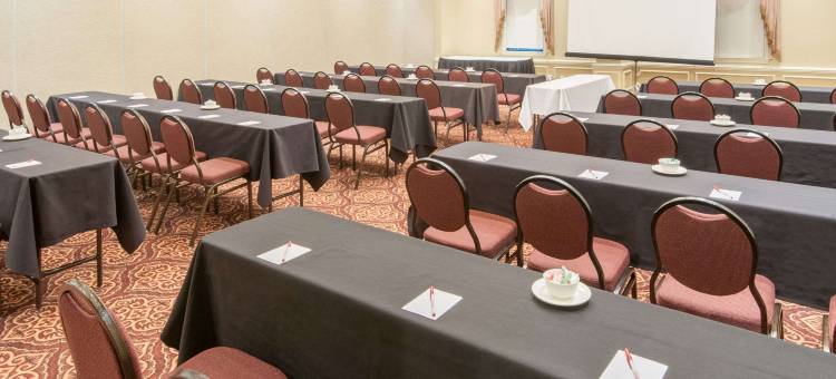 卡尔加里机场-迪维亚苏特拉广场及会议中心(Divya Sutra Plaza and Conference Centre Calgary Airport)图片