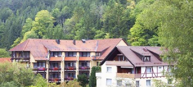 维茨泰格乡村酒店(Landhotel Gasthof Wittstaig)图片