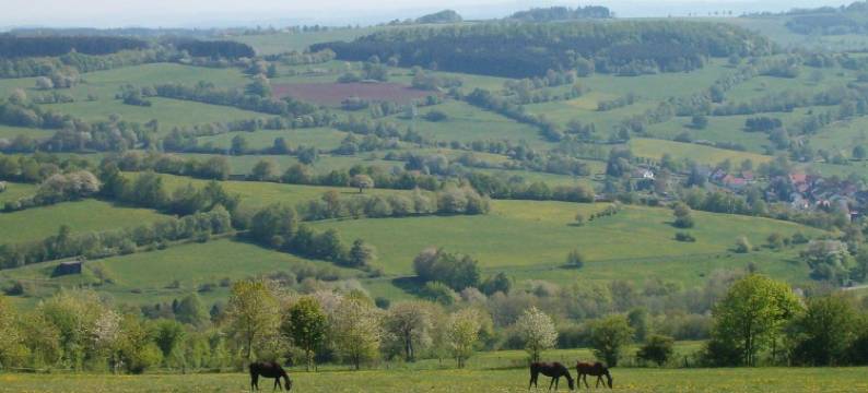 塔纳霍夫酒店(Hotel Tannenhof)图片