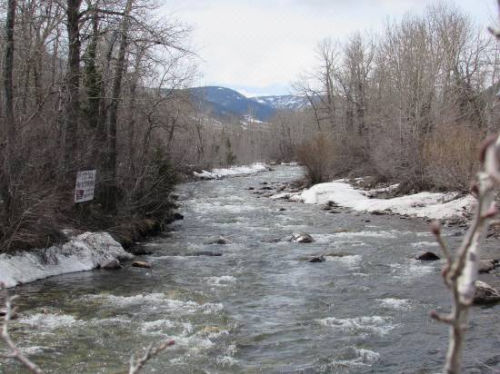Beartooth Hideaway Inn Cabins Hotel Reviews And Room Rates