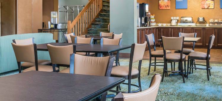 舒适酒店客栈松树林I-81赫尔希地区(Comfort Inn Pine Grove I-81 Hershey Area)图片