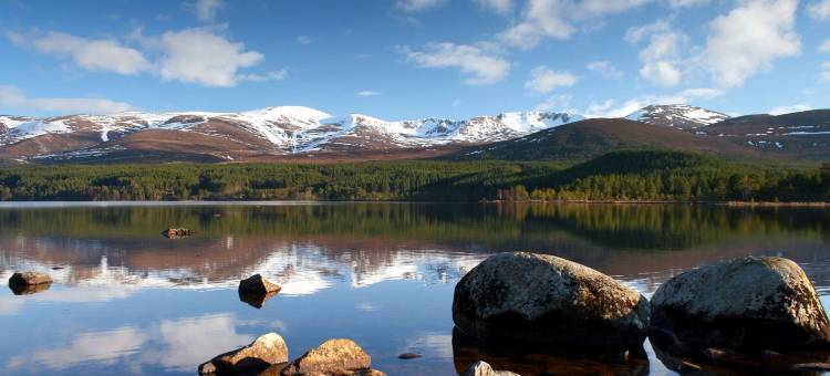 科伊伦布里奇度假酒店(Coylumbridge Resort Hotel)图片