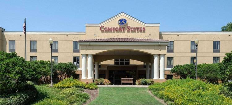 舒适套房酒店(Comfort Suites Starkville)图片