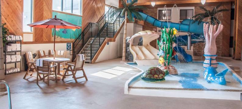 舒适酒店(Comfort Inn)图片