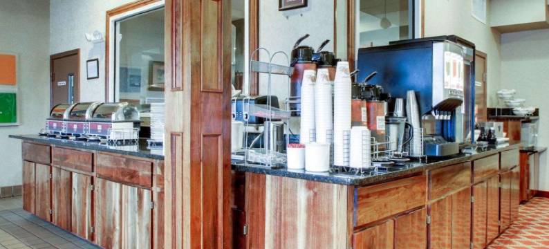 凯隆酒店(Clarion Suites)图片