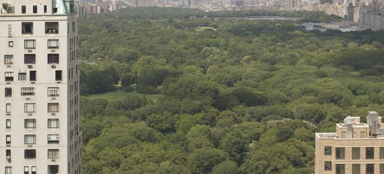 凯悦Thompson中央公园纽约(Thompson Central Park New York by Hyatt)图片