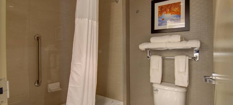 希尔顿Homewood套房-安大略阿贾克斯(Homewood Suites by Hilton Ajax)图片