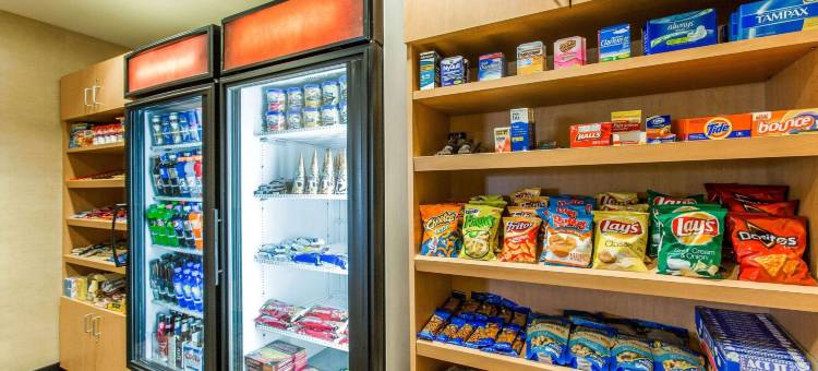 拉皮德城坎布里亚酒店-靠近拉什莫尔山(Cambria Hotel Rapid City Near Mount Rushmore)图片