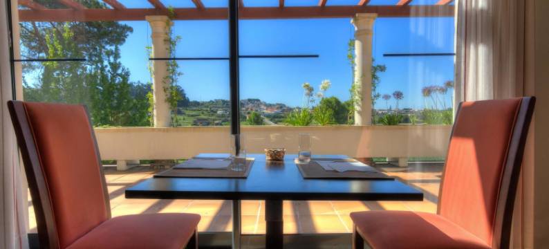 埃斯塔雷哈林肯酒店(Lam Hotel Estarreja)图片