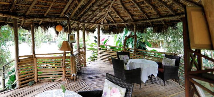 库格阿曼瓦讷水疗度假村(Amanvana Spa Resort, Coorg)图片