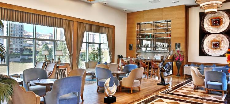 阿他席尔博夫套房(Bof Hotels Ceo Suites Atasehir)图片