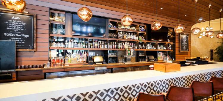 西棕榈滩希尔顿酒店(Hilton West Palm Beach)图片