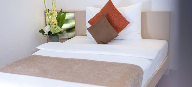 克朗尤特斯特拉斯酒店(Hotel Krone Unterstrass)图片