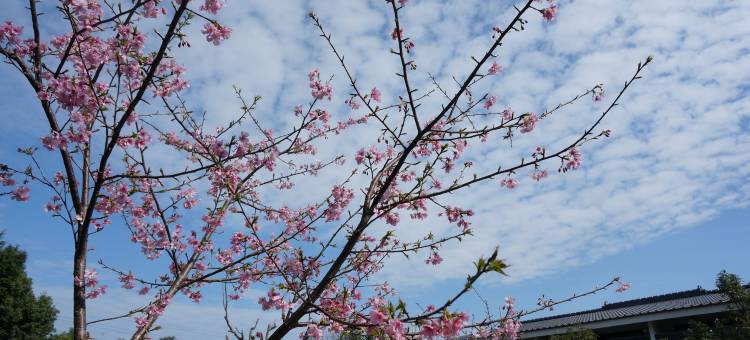 苗栗幸福小筑馆前民宿图片