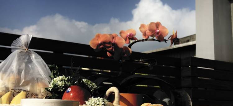 新北旅行邦尼旅店图片