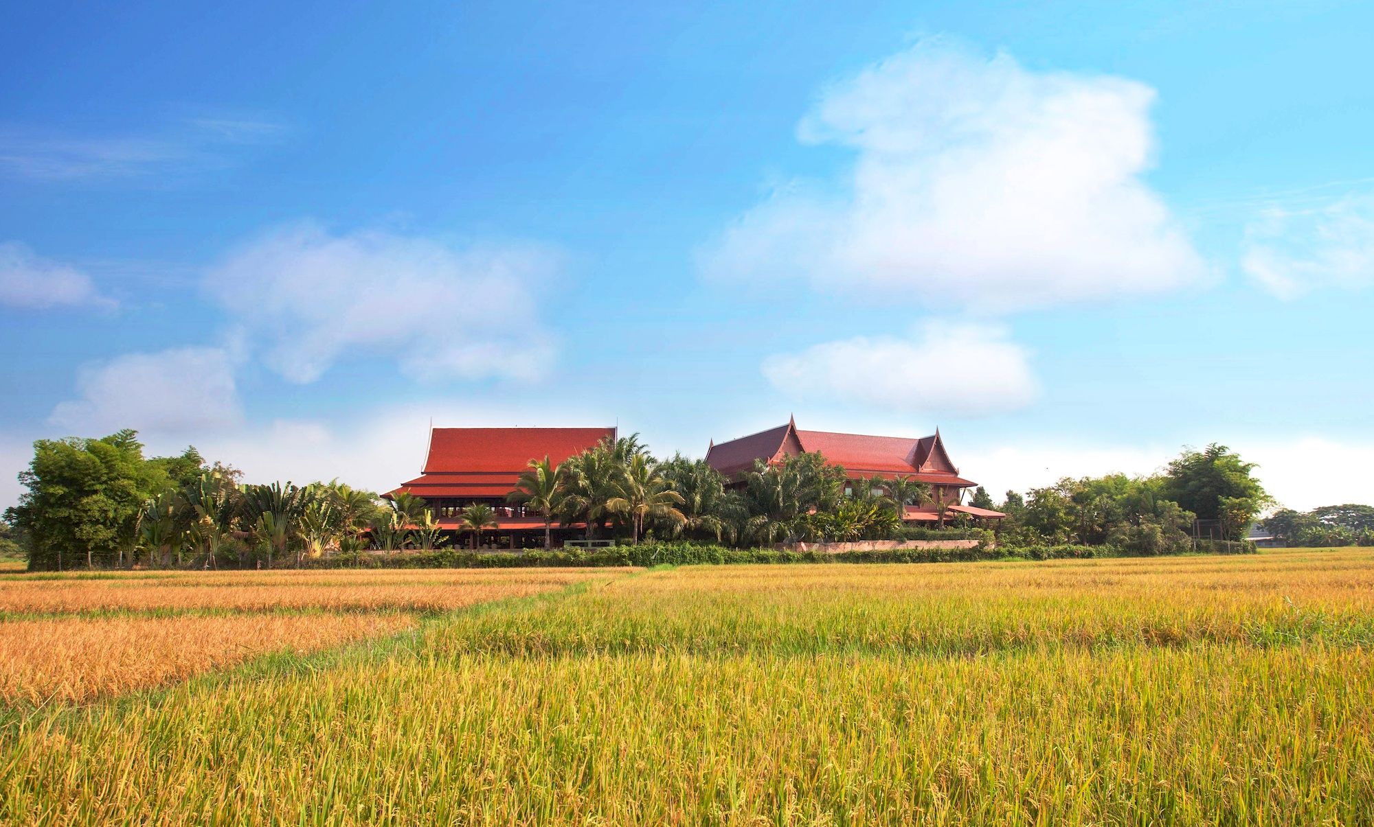 Baan Suchadaa Lampang ResortOver view
