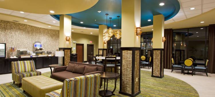 智选假日套房酒店韦克罗斯 by IHG(Holiday Inn Express & Suites Waycross)图片