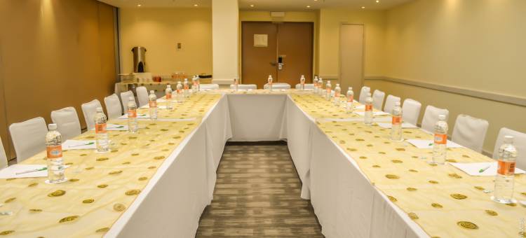 Holiday Inn 莱昂 - 会展中心(Holiday Inn Leon-Convention Center)图片