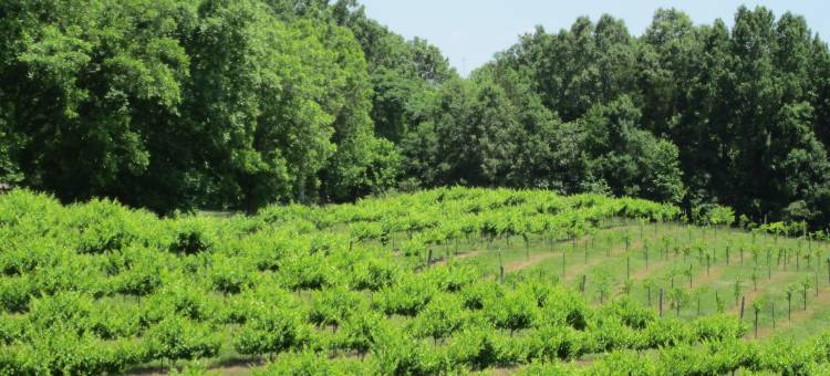 智选假日套房酒店梦露(Holiday Inn Express & Suites Monroe)图片