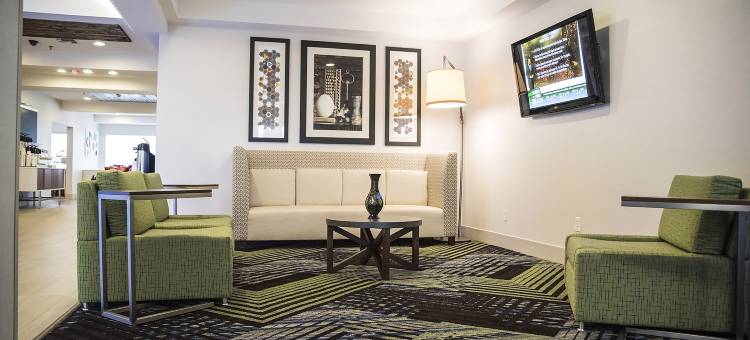 智选假日套房酒店亚历山德里亚(Holiday Inn Express & Suites Alexandria)图片