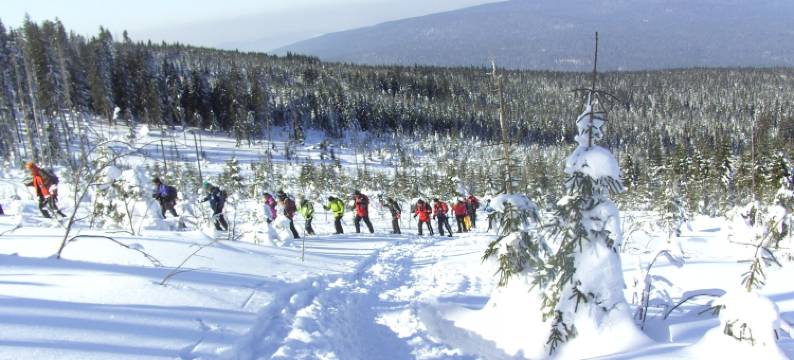 舒尔格活力养生酒店(Vital & Gesundheitshotel Schuerger)图片