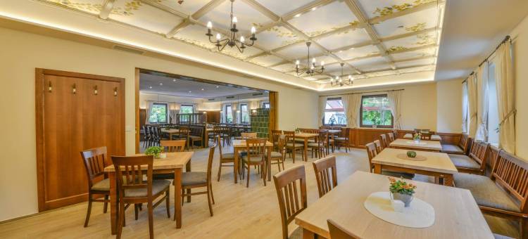 翰心格酒店(Hotel Gasthof Hainzinger)图片