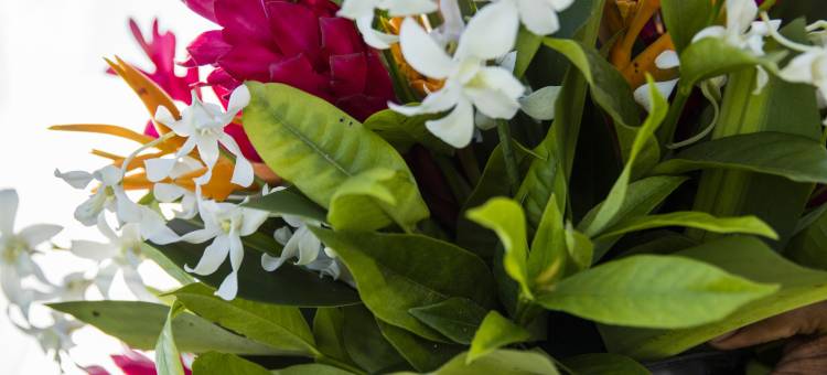 斐济海滩奥瑞格度假村(Outrigger Fiji Beach Resort)图片