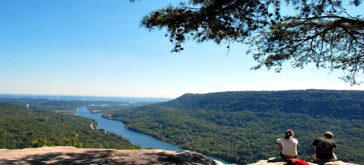 Candlewood Suites HUNTSVILLE - RESEARCH PARK图片