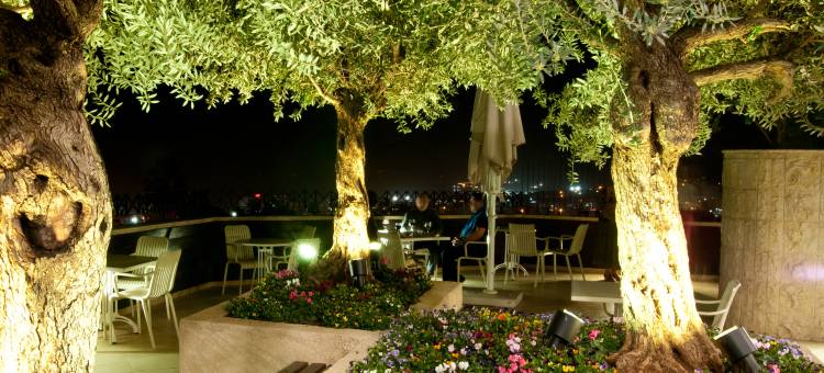 普利马太巴列酒店(Prima Galil Tiberias Hotel)图片