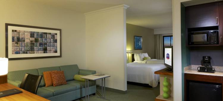 纽瓦克国际机场SpringHill Suites 酒店(SpringHill Suites by Marriott Newark International Airport)图片
