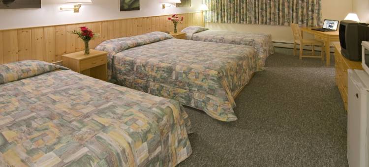 加拿大最佳价值河景酒店(Canadas Best Value Inn River View Hotel)图片