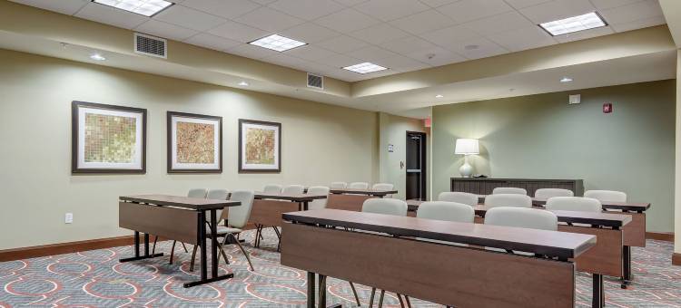 圣路易斯西港Staybridge Suites(Staybridge Suites ST Louis - Westport)图片