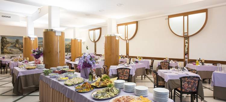 昂基欧丽诺酒店(Hotel Angiolino)图片