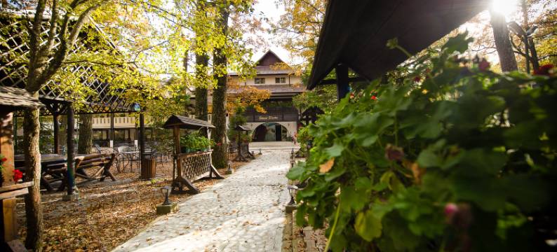 猎人角酒店(Hotel Cornul Vanatorului)图片