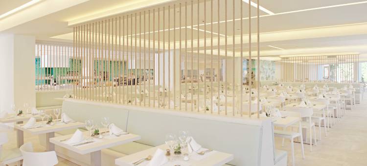 伊贝罗之星海浪克里斯蒂娜酒店(Iberostar Waves Cristina)图片