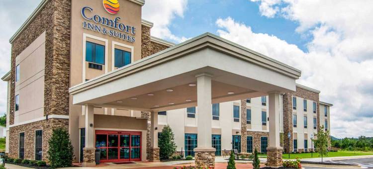 舒适套房旅馆(Comfort Inn & Suites East Ellijay)图片