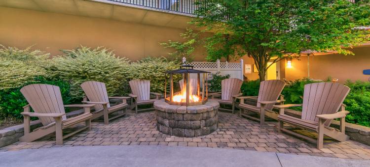 大雾山假日酒店&度假村(Holiday Inn Club Vacations Smoky Mountain Resort)图片