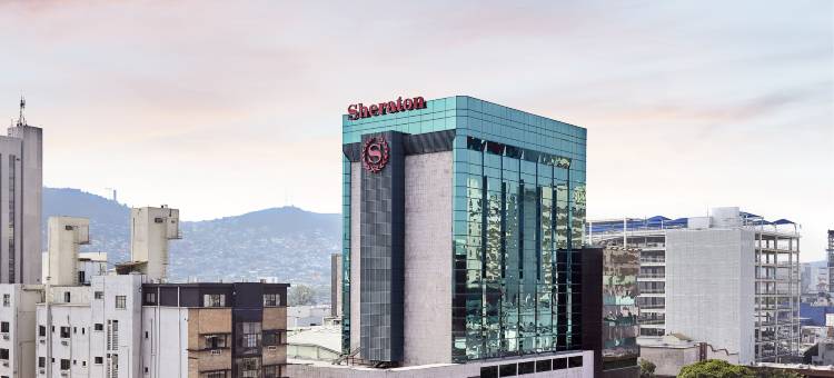 蒙特雷大使中心温德姆酒店(Wyndham Monterrey Ambassador Centro)图片