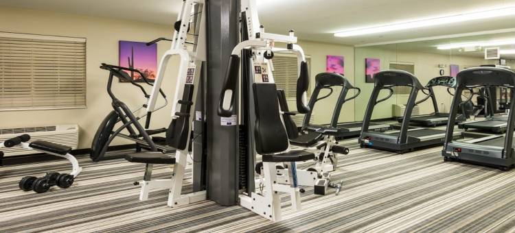 芝加哥沃基根索尼斯塔简单套房酒店(Sonesta Simply Suites Chicago Waukegan)图片