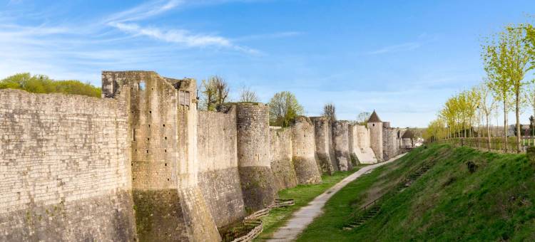老城垛原生酒店(Hôtel Aux Vieux Remparts the Originals Relais)图片