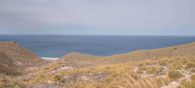 马雷诺斯农庄罗吉斯膳宿旅馆(Cortijo Los Malenos)图片