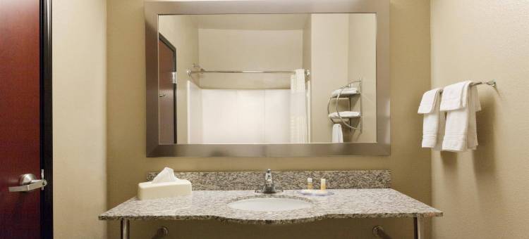 孤星旅馆及套房(Lone Star Inn & Suites)图片