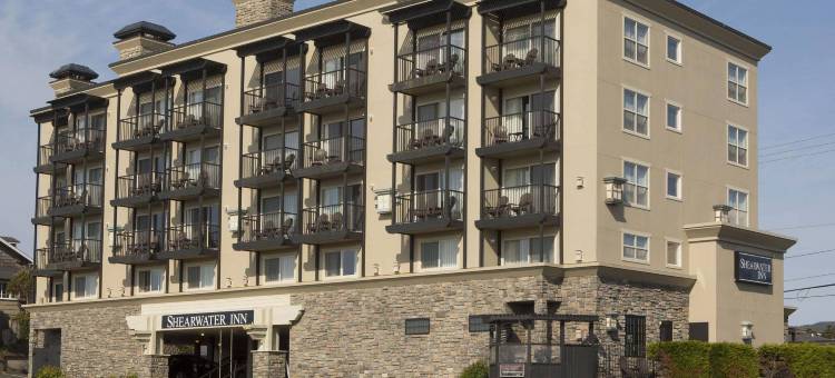 海鸥旅馆(Shearwater Inn)图片