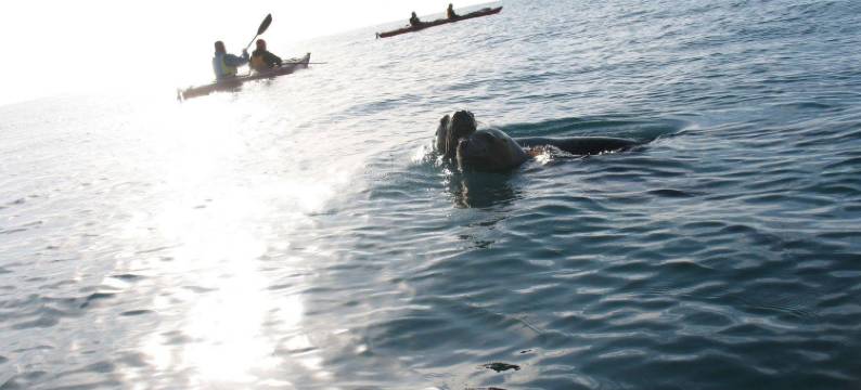 Hi Patagonia Hostel图片