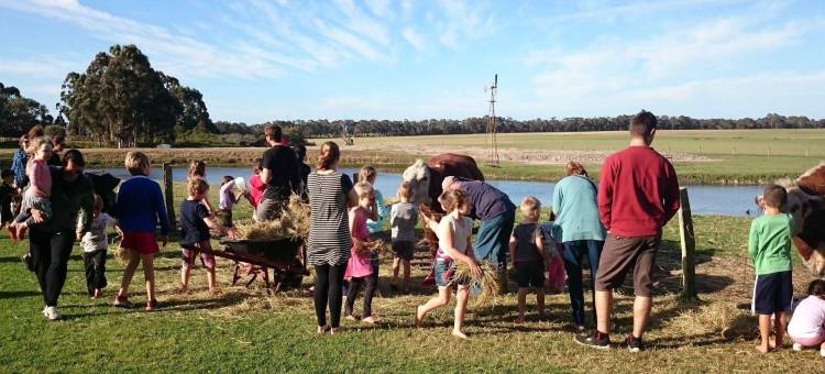 发现公园 - 玛格丽特河(Discovery Parks - Margaret River)图片